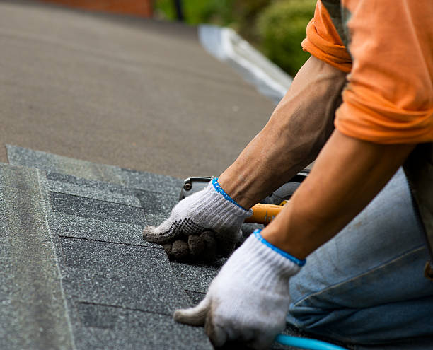 Best Roof Waterproofing Services  in Crittenden, KY